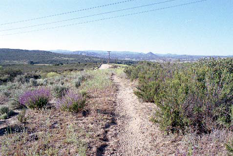 A look at the trail on the first day of the walk.