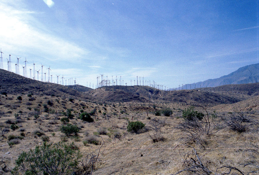 Windmills at San Gregornio Pass