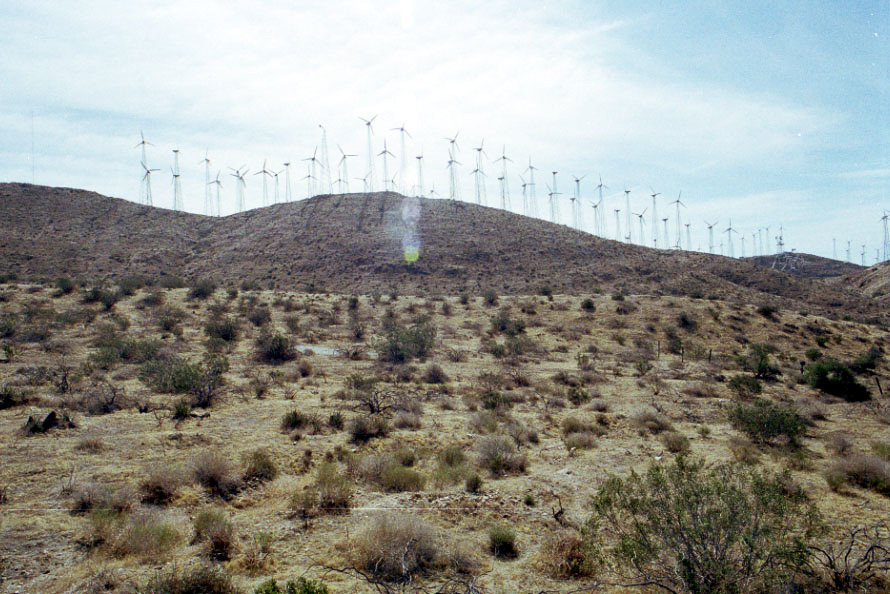 Windmills at San Gregornio Pass