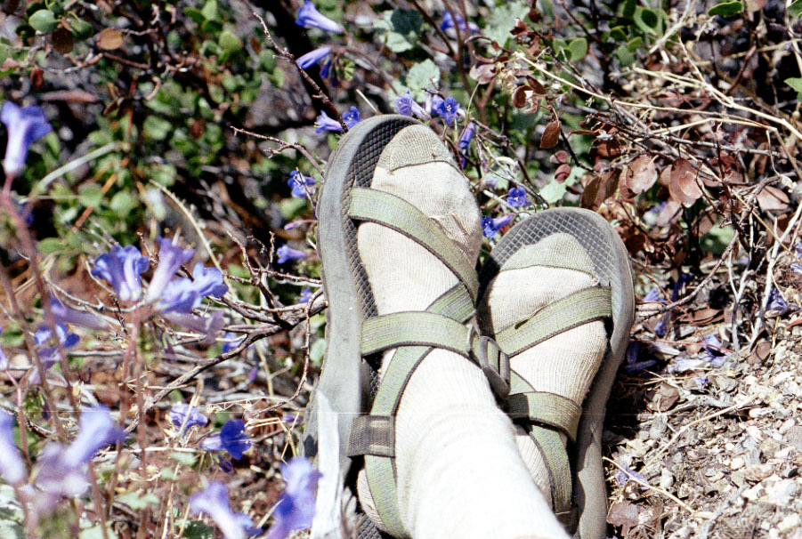 I hiked most of Southern California with these sandals.