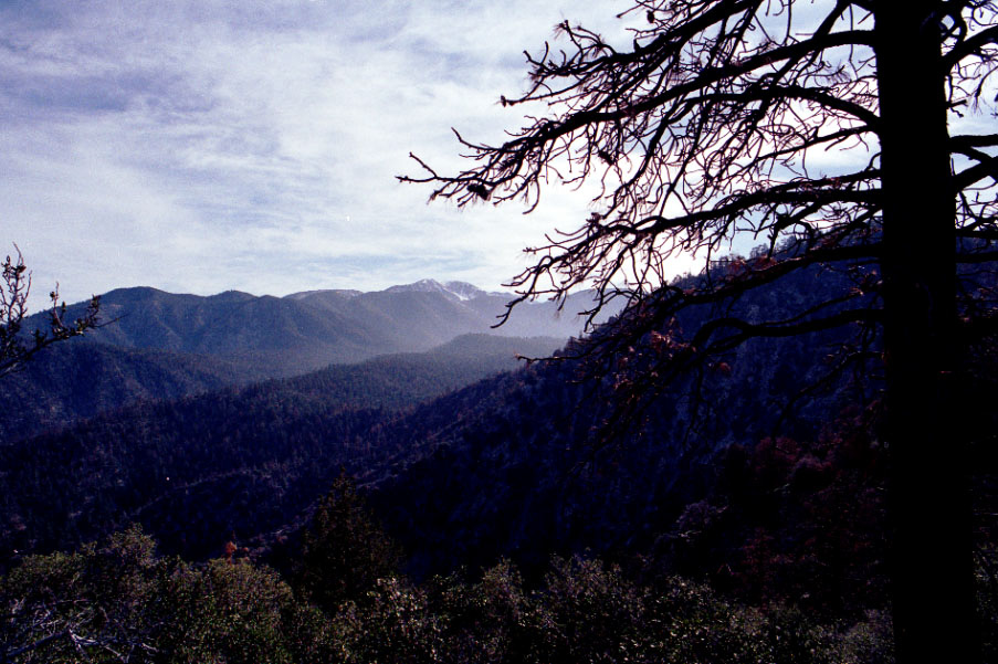 The sky and some interesting clouds.