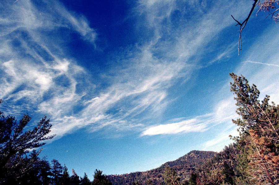 The sky and some interesting clouds.