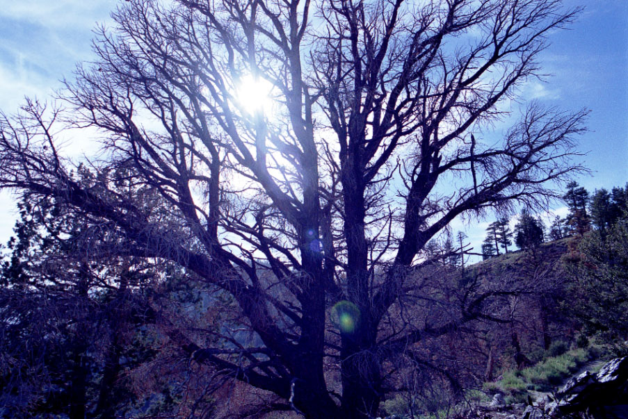 The sky and some interesting clouds.