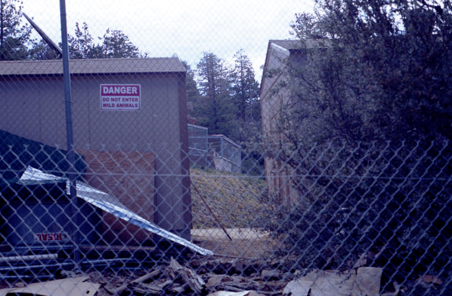 A random tiger and other wild animals in cages next to the trail...