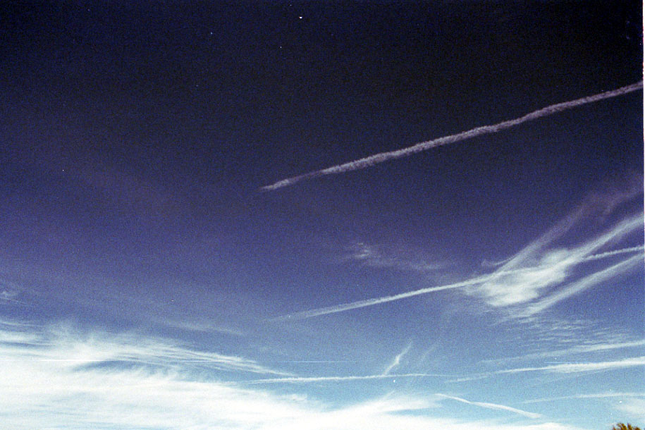 Chaparral scrubland in Southern California.