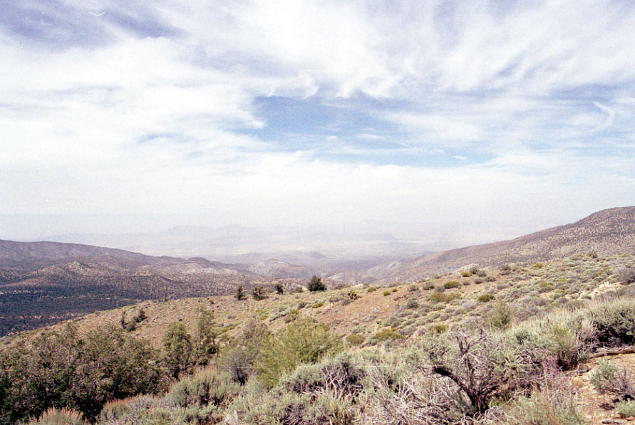Chaparral scrubland in Southern California.