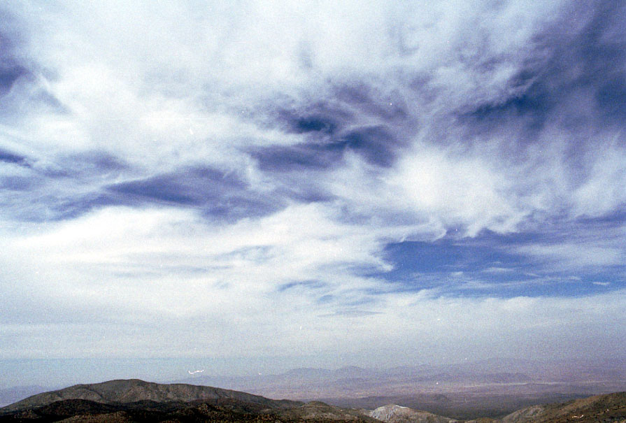 Chaparral scrubland in Southern California.