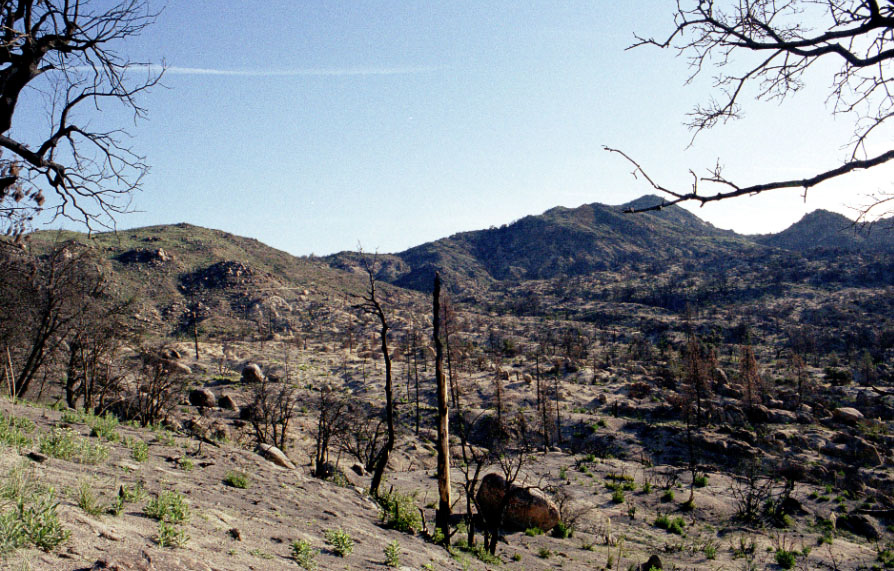 Recently burned. Lots of dust and ash.