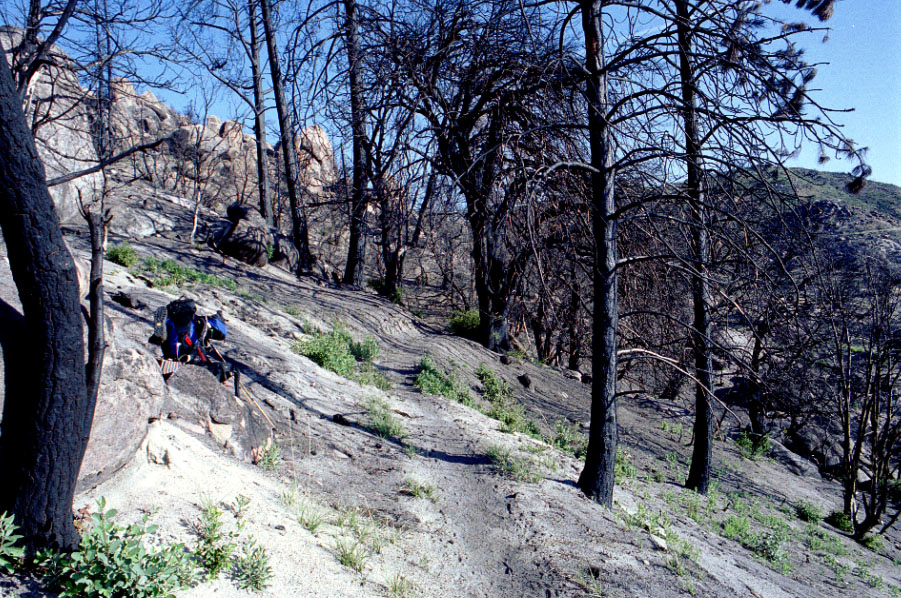 Recently burned. Lots of dust and ash.
