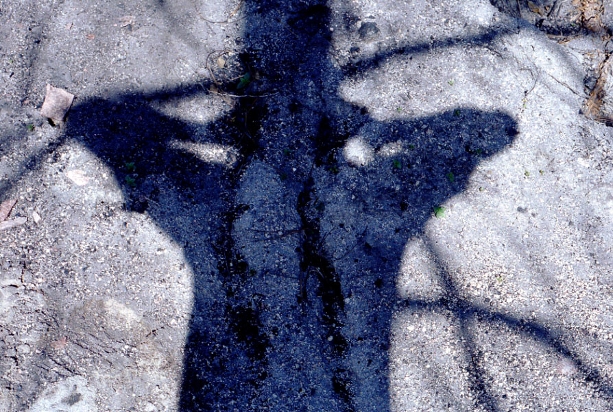 Shadow self portrait.