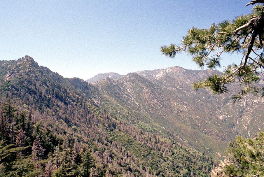 Climbing up the San Gabriel mountains.