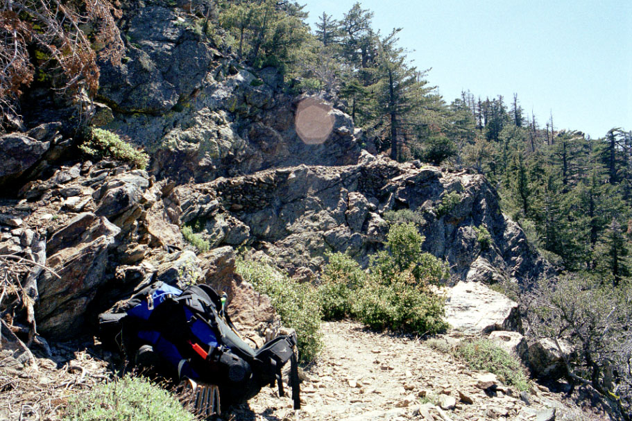 Trailside resting spot.