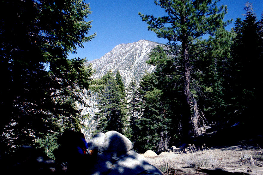 Higher up in the San Gabriels.