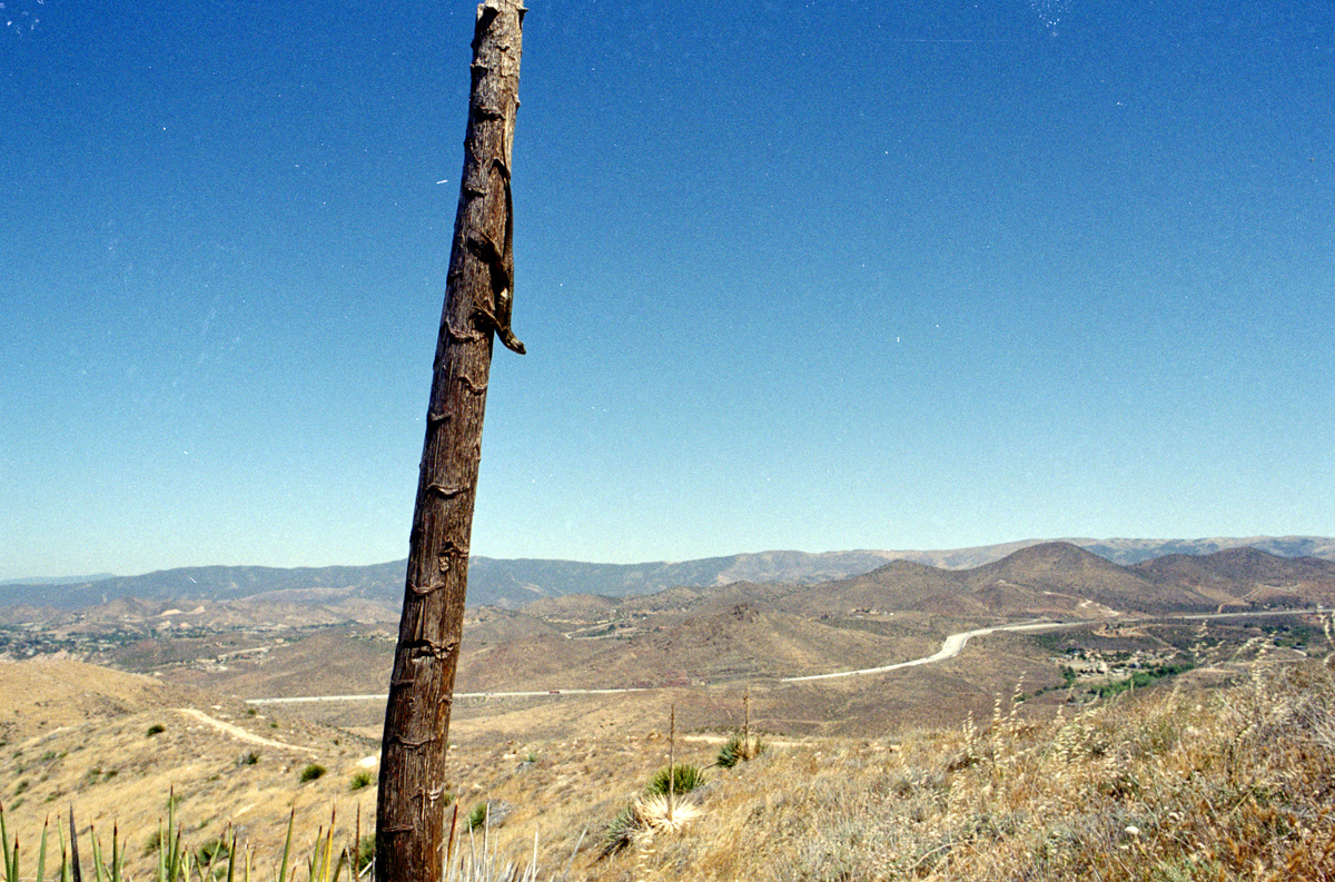 Back in the high desert.