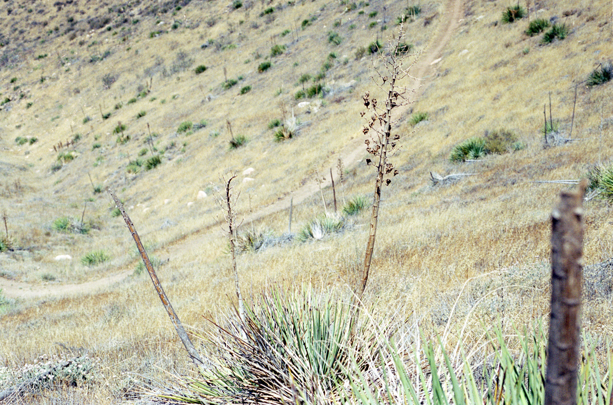 High desert switchbacks.