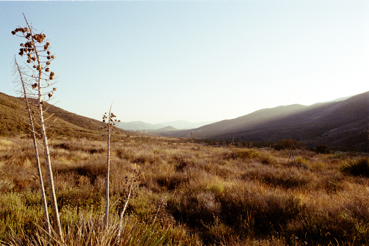 The high desert at sunset.