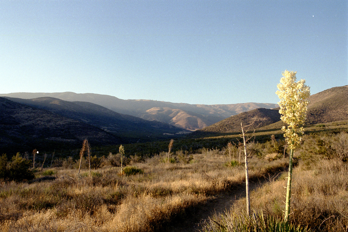 The high desert at sunset.