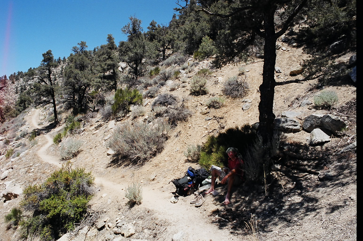 Taking a break in the shade to escape the midday sun.