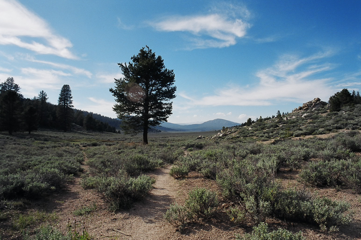 Just outside of Kennedy Meadows.