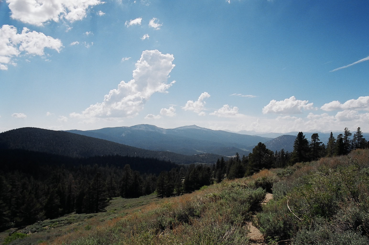 Climbing up into the Sierra Nevada mountains.
