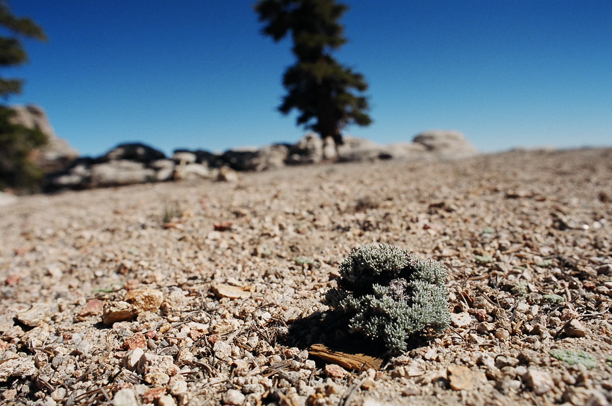 Landscape in miniature.