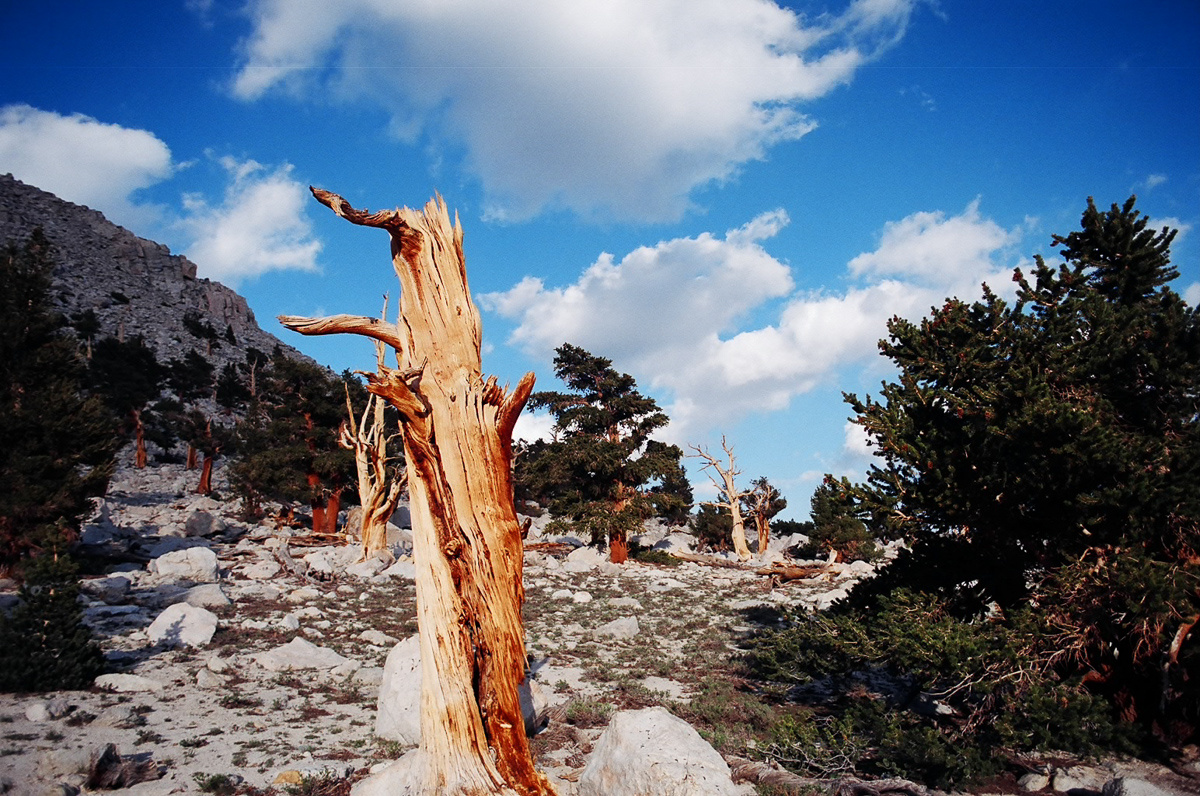 Towering granite mountains near a small cirque