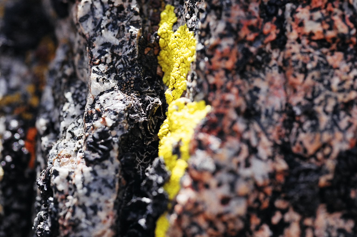Granite rocks with colorful licen.