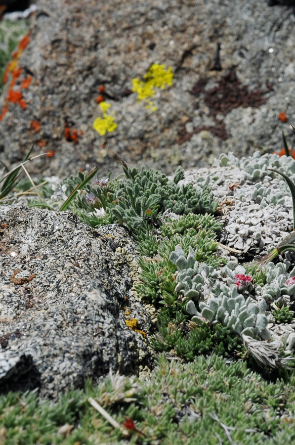 Landscapes in miniature.
