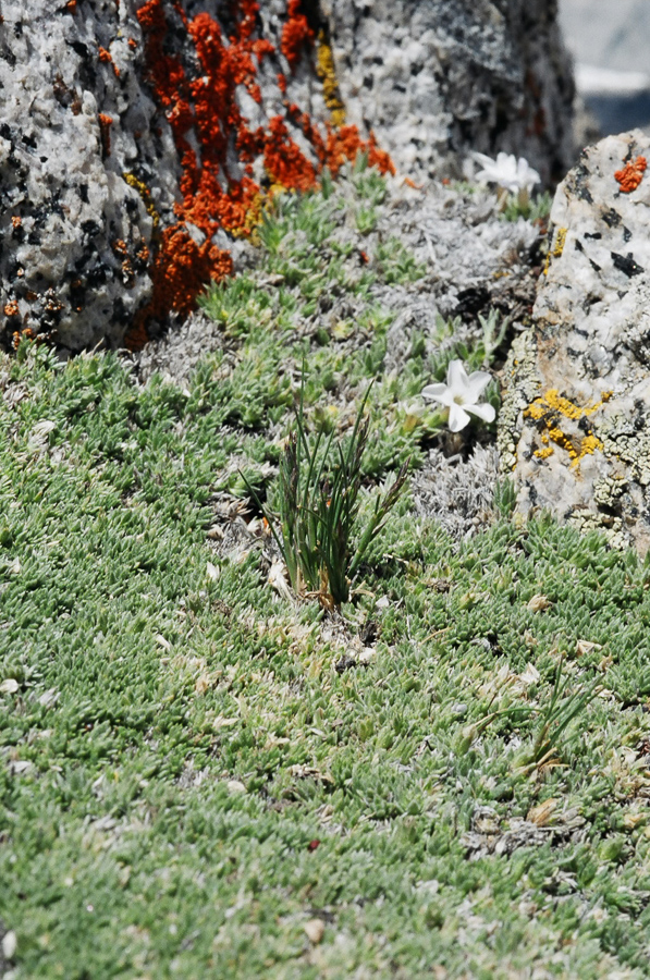 Landscapes in miniature.