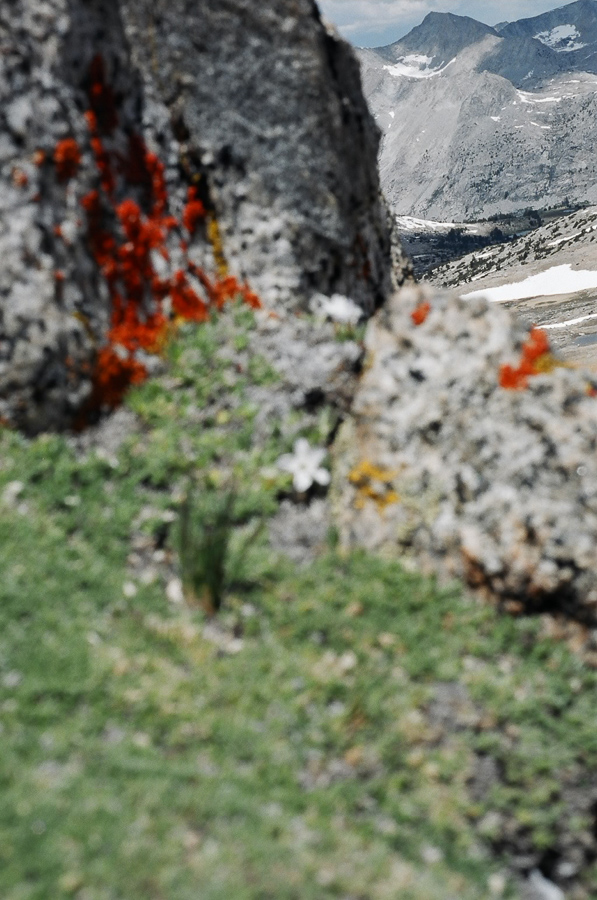 Landscapes in miniature.