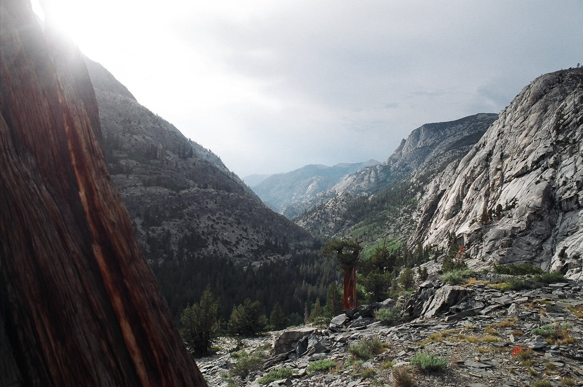 Kings Canyon near sunset.