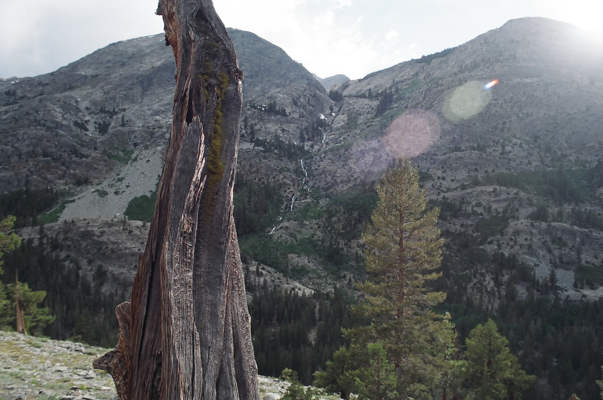 Kings Canyon near sunset.