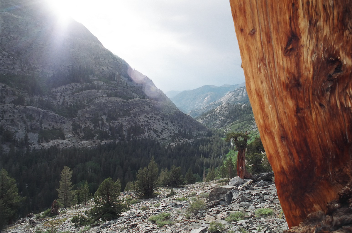 Kings Canyon near sunset.