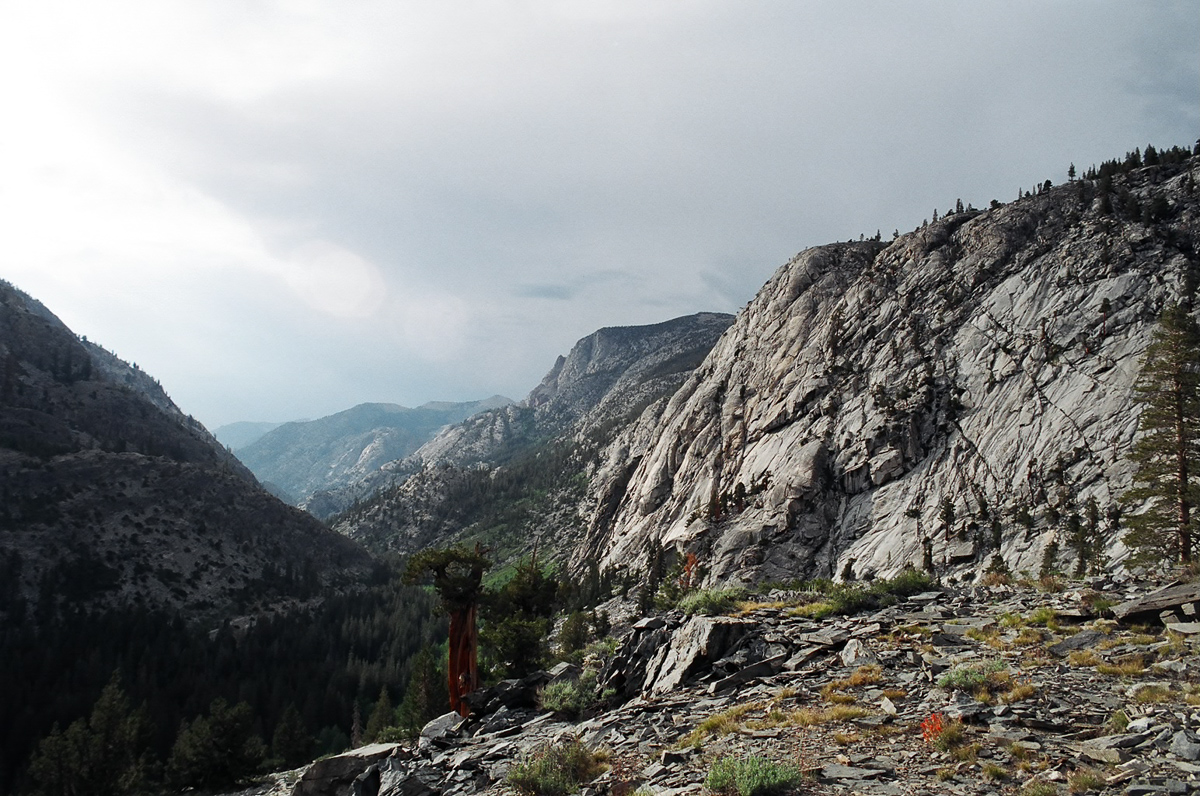 Kings Canyon near sunset.