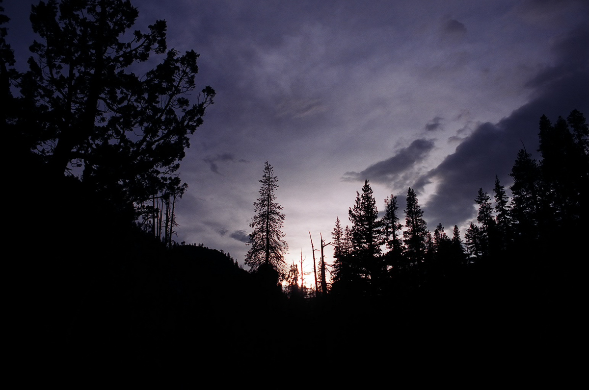 sunset through the trees.
