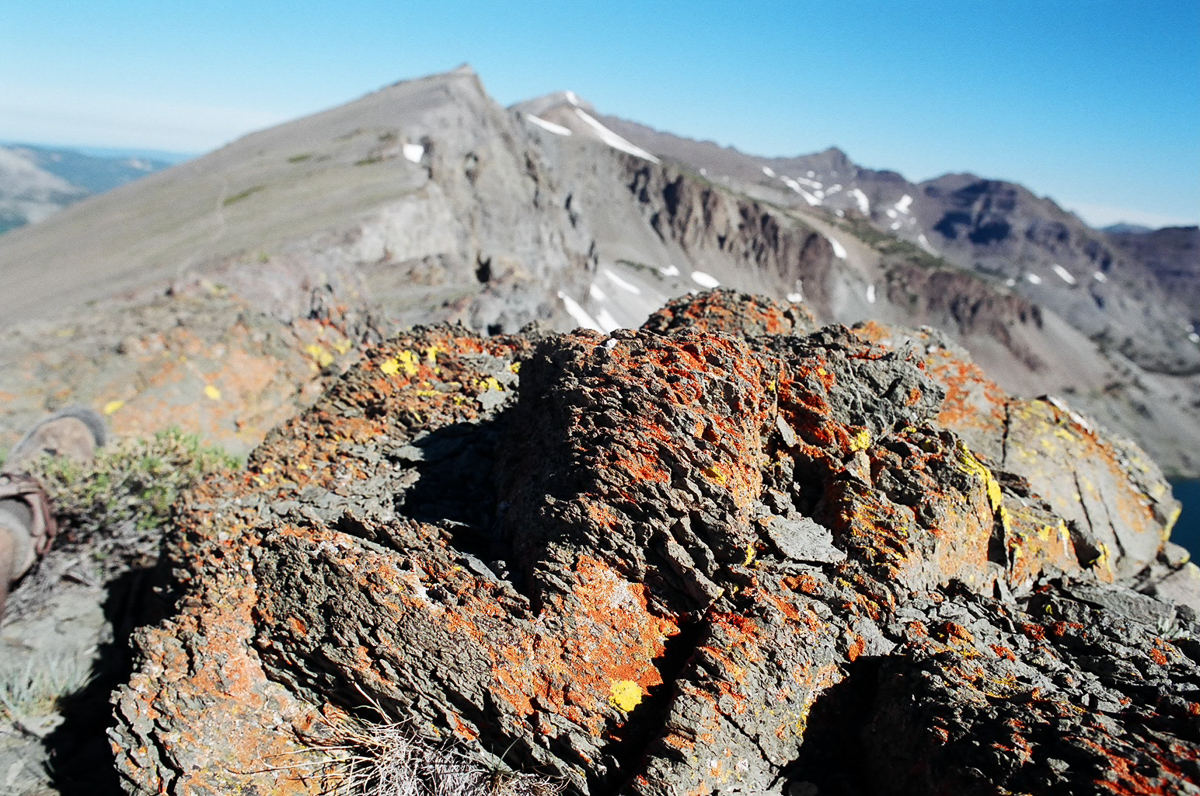 Some interesting rock textures. Not granite.