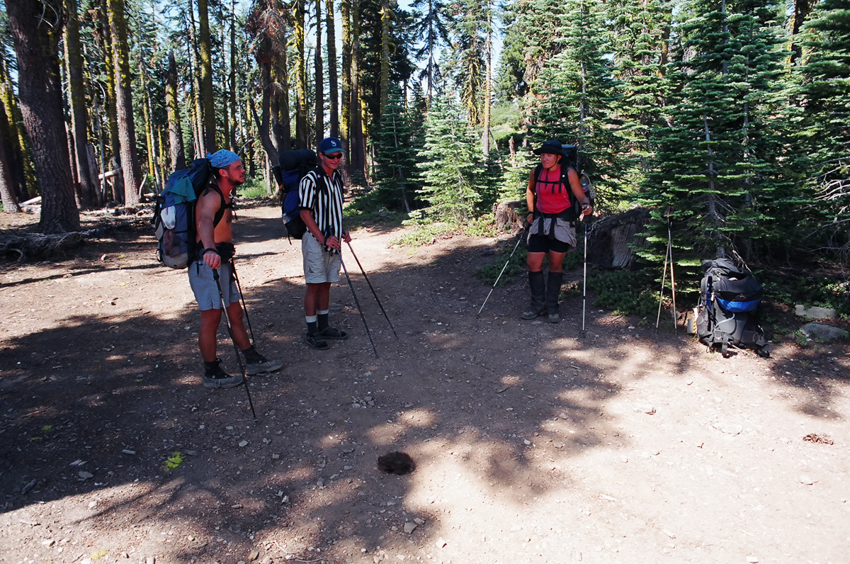 Standing around pile of hair.