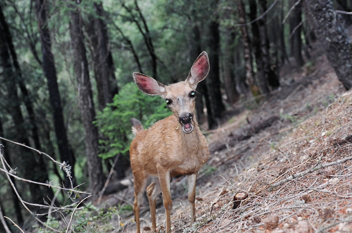 I was not sure why...