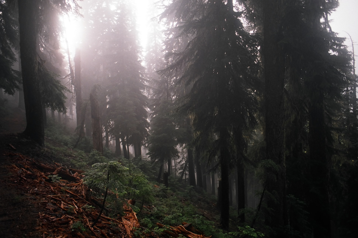 Notice the weather change? This is Oregon now.