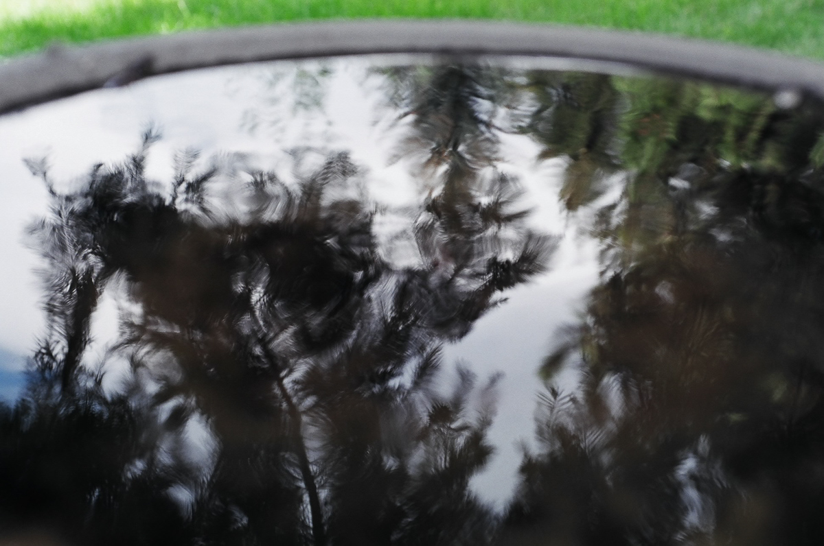 Bird bath in Bend, Oregon.