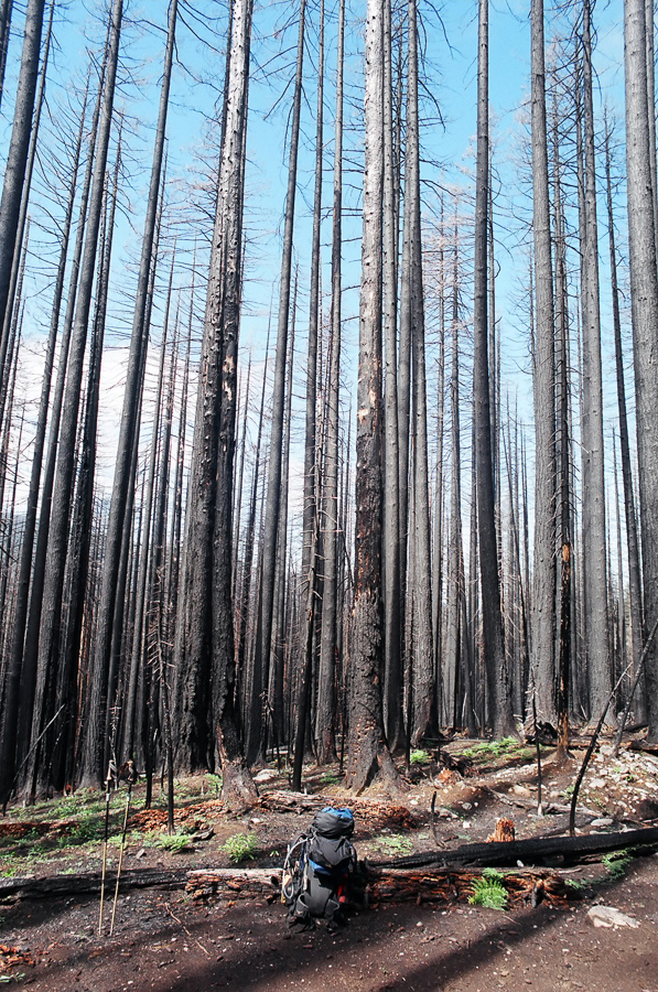 Burned out portion of the trail in Oregon.