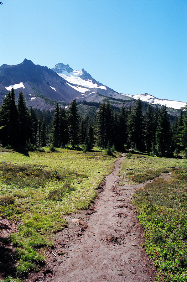 Mt Jefferson in Oregon. From Jefferson park.