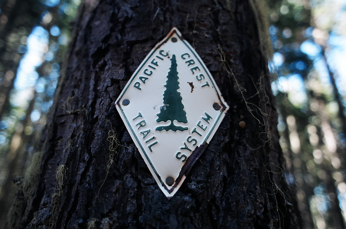 Old style PCT trail marker.