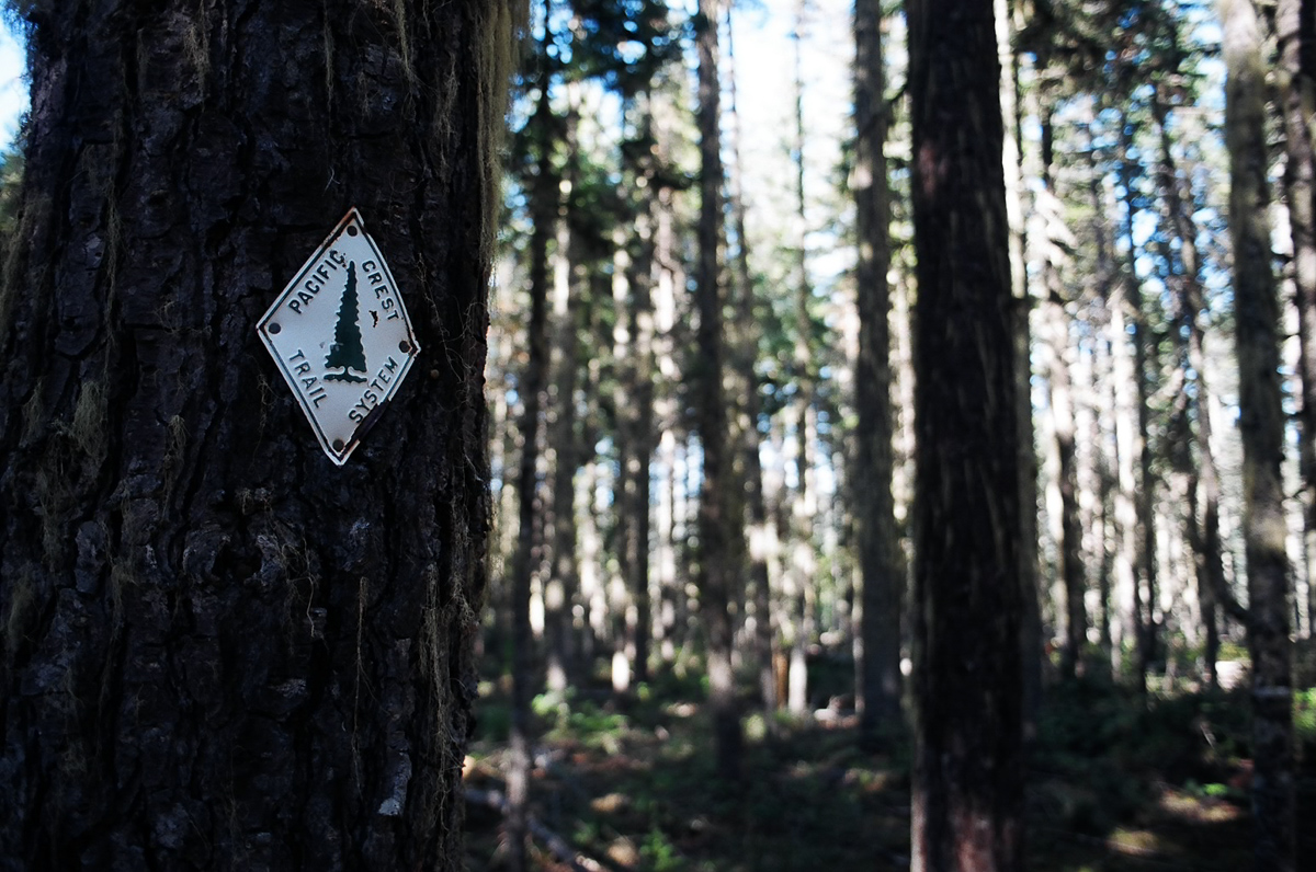 Old style PCT trail marker.
