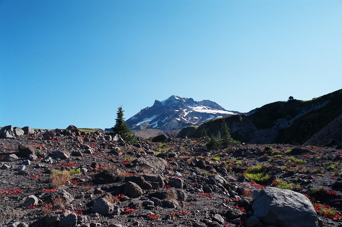 Looking at Mt. Hood from the North.
