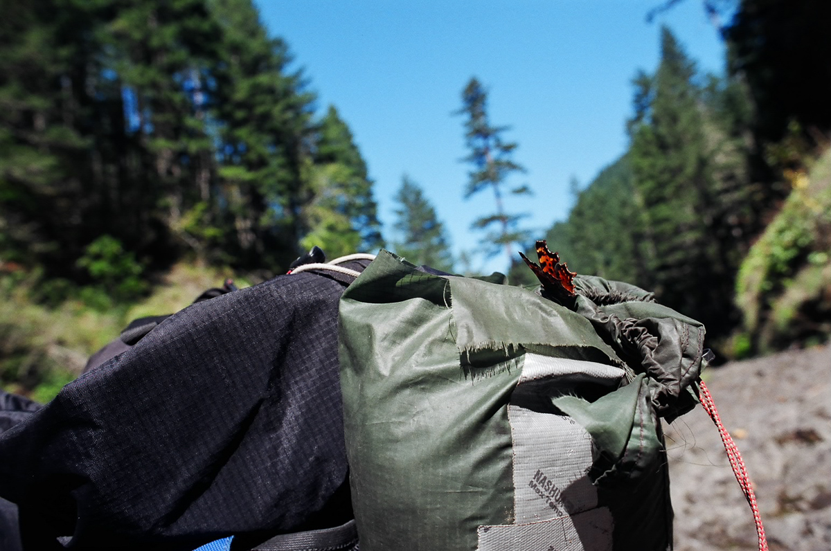 Butterfly on backpack.