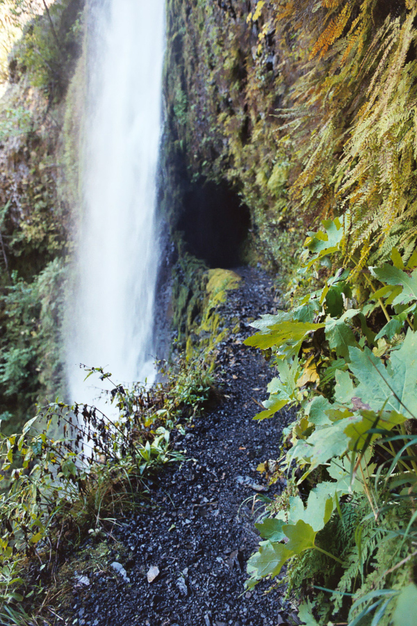The tunnel of Tunnel Falls.