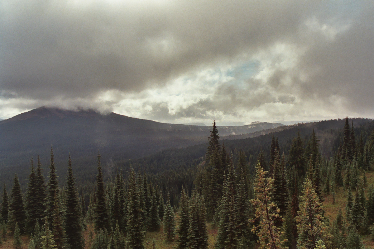 Small break in the wet weather.