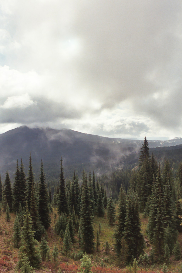 Washington in between the rain storms.